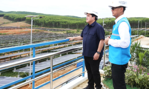 PLN Dinilai Cepat Hadirkan Energi Bersih di IKN