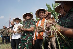 Pupuk Indonesia Siap Dukung Produktivitas Bawang Merah di Kawasan Urban Farming Jawa Barat