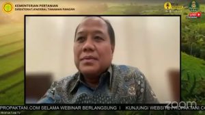 Pupuk Indonesia Sambut Positif Usulan Singkong Komoditas Penerima Pupuk Bersubsidi