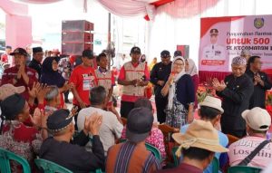 500 Petani di Kecamatan Losarang Dapat Bantuan Benih Padi Unggul Inpari dan Ciherang