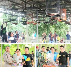 Radjawali Indonesia dan Patrol Arena Louncing Kontes Burung Berkicau