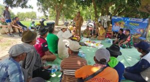DKPP Indramayu Berupaya Kembalikan Kejayaan Jeruk Segeran