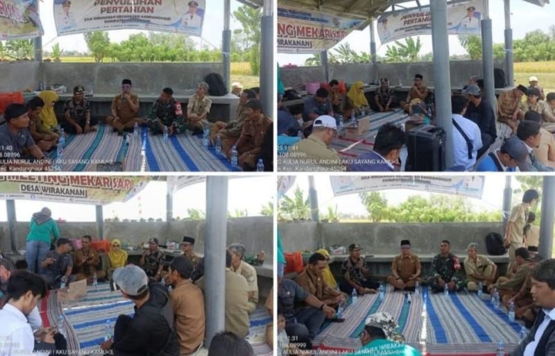 Camat Kandanghaur Rusyad Nurdin Apresiasi Acara Syukuran Panen Padi Petani  di Desa Wirakanan