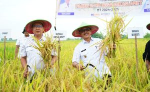 PEMKAB Indramayu Anggarkan Rp460 Juta Biayai Asuransi Usaha Tani Padi