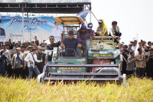 Hadiri Panen Padi di Desa Karangmulya, Wamen Pertanian RI : Petani adalah pejuang bangsa di sektor pangan
